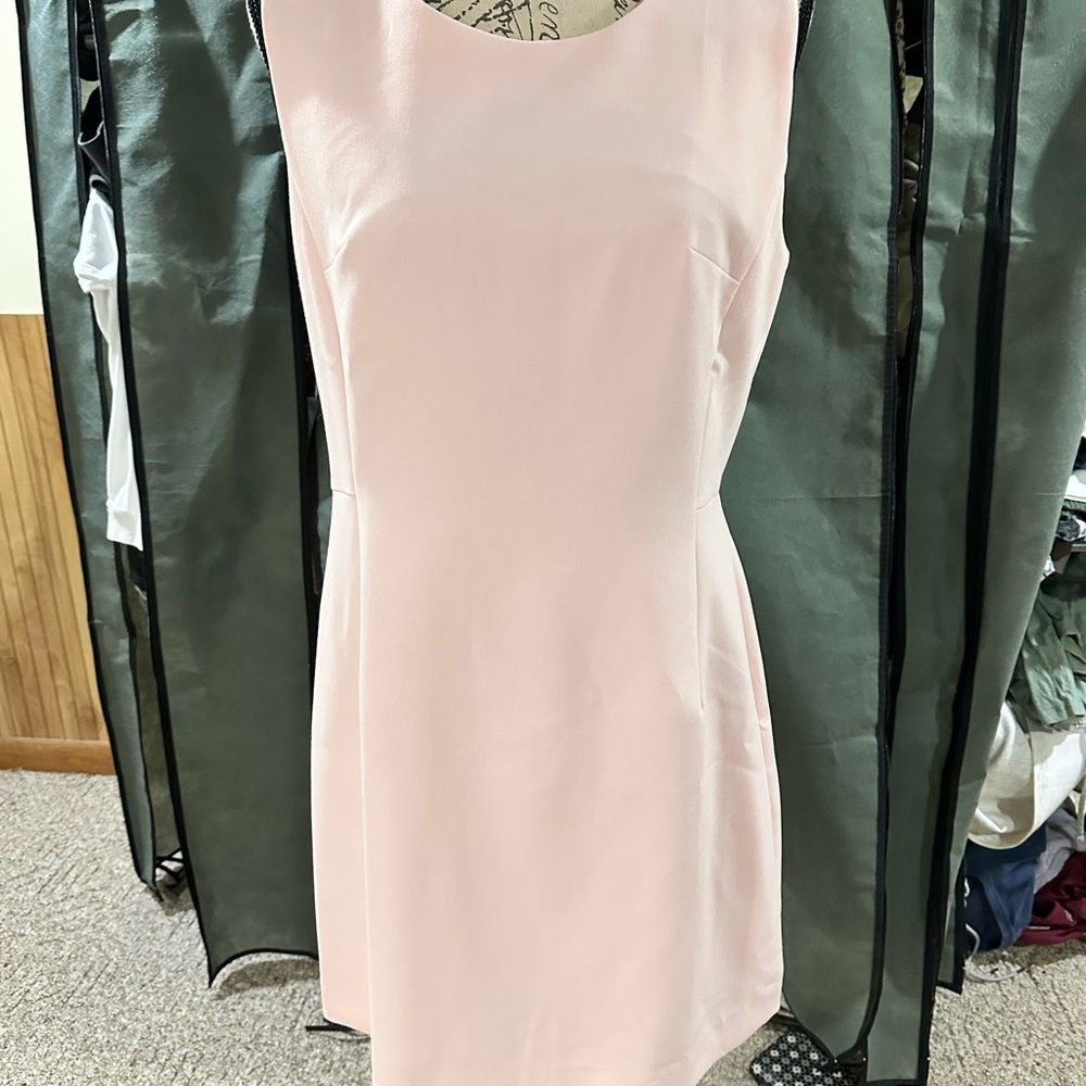 Pink
Sleeveless Scoop Neck Sheath Mini Dress